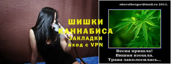 молекула духа Мегион