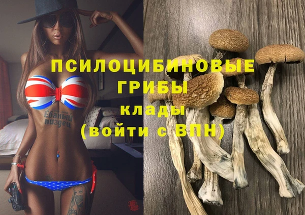 гашишное масло Медногорск