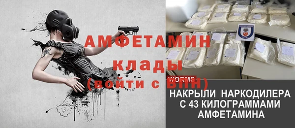 молекула духа Мегион