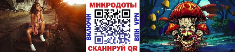 где купить наркотик  Томмот  Псилоцибиновые грибы мицелий 