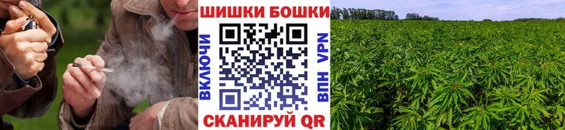 Шишки марихуана White Widow  Томмот 
